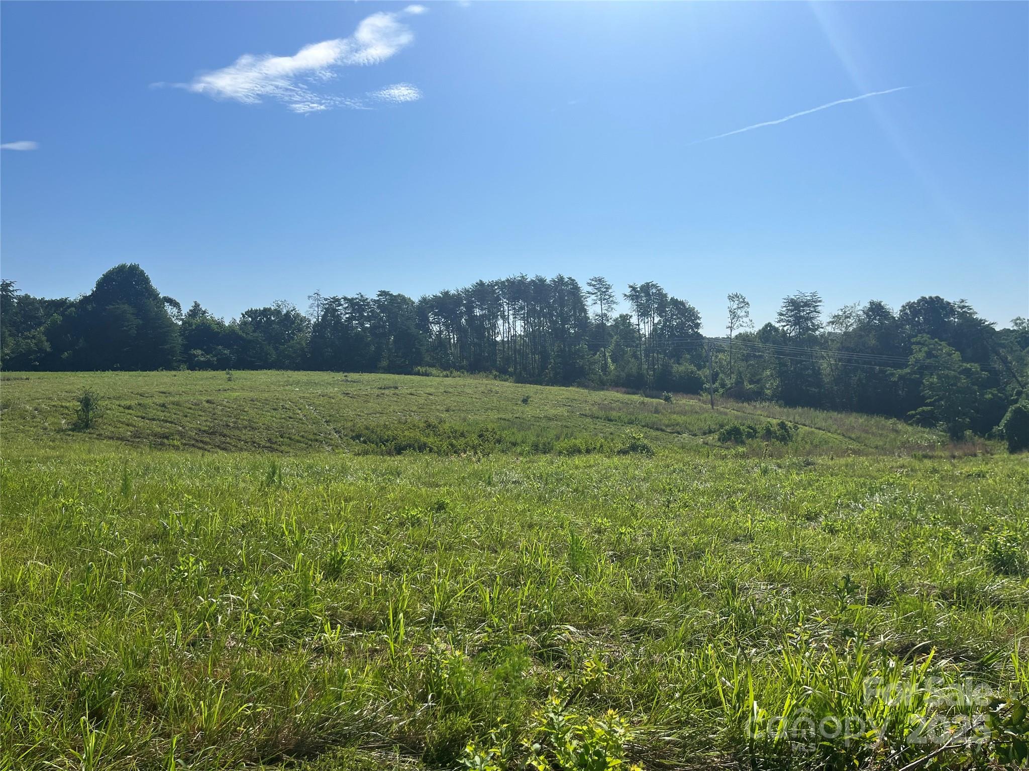 536 Pea Ridge Road Mill Spring, NC 28756 - Photo 11 of 16