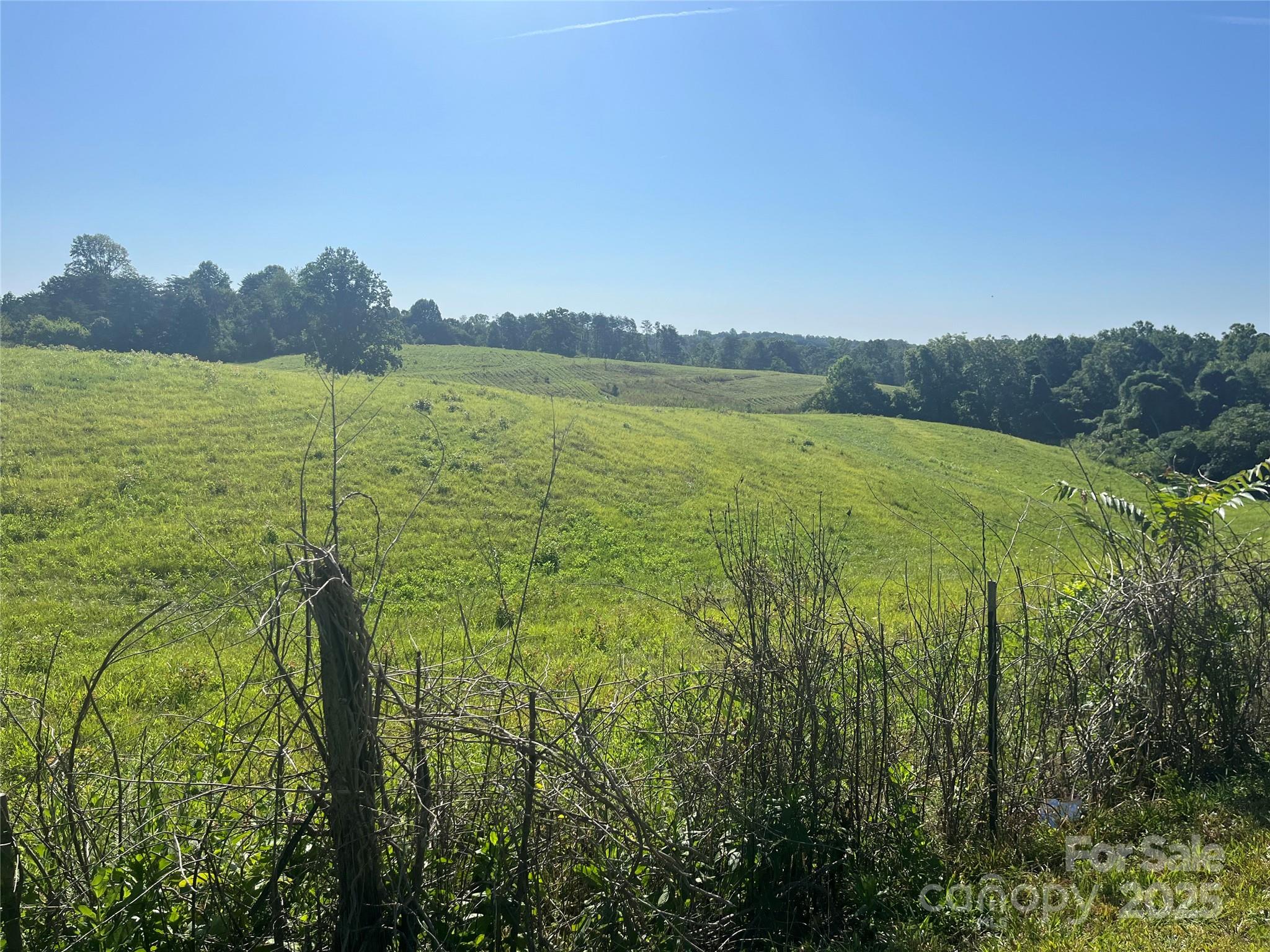 536 Pea Ridge Road Mill Spring, NC 28756 - Photo 12 of 16