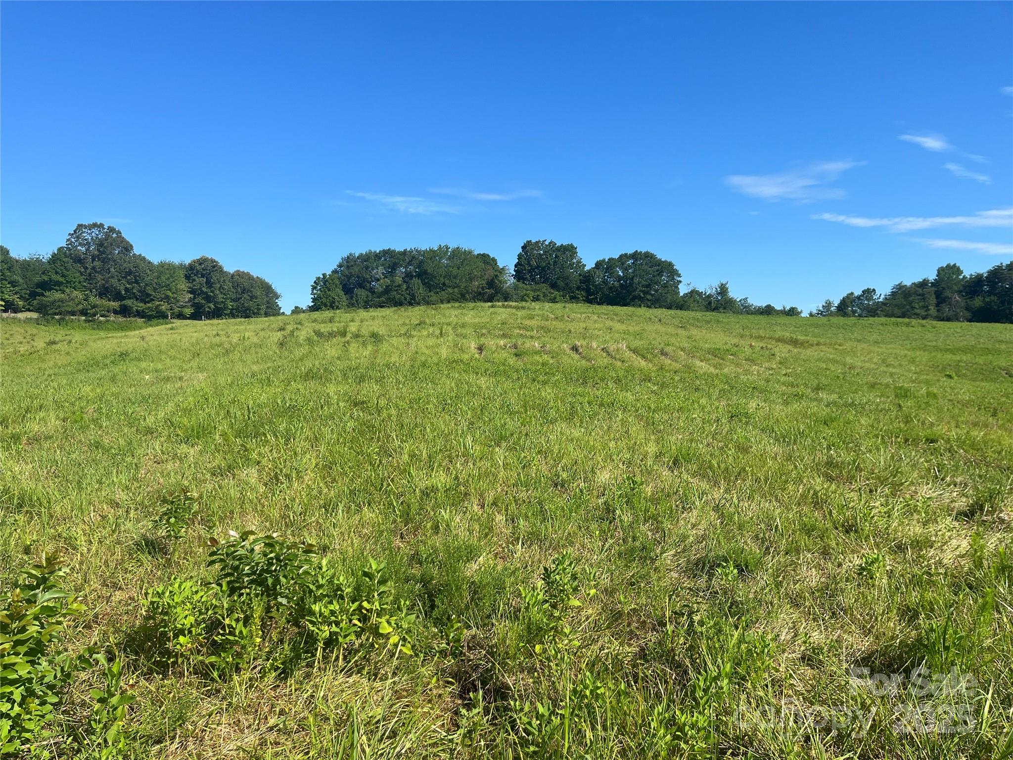 536 Pea Ridge Road Mill Spring, NC 28756 - Photo 2 of 16