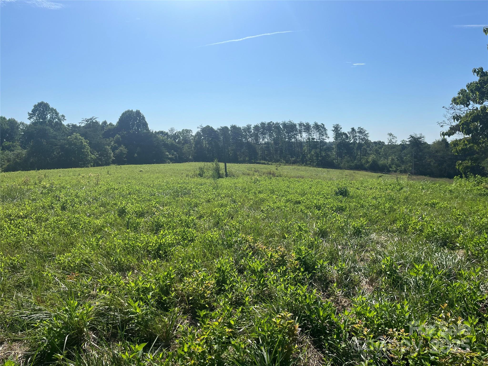 536 Pea Ridge Road Mill Spring, NC 28756 - Photo 4 of 16