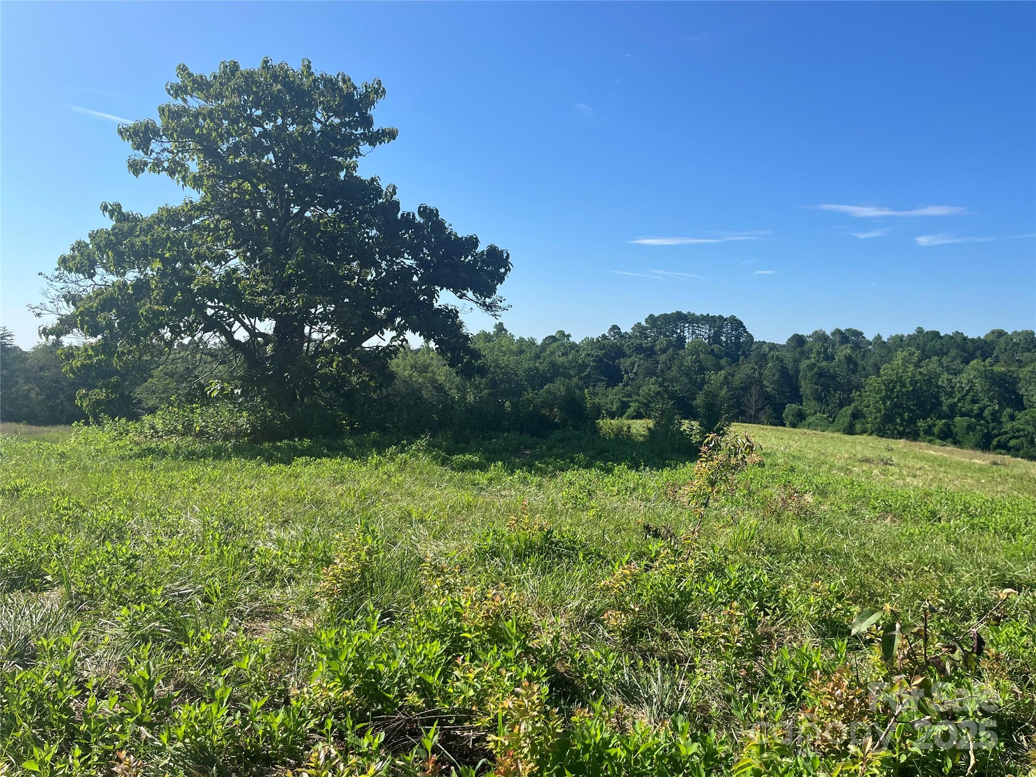 536 Pea Ridge Road Mill Spring, NC 28756 - Photo 5 of 16