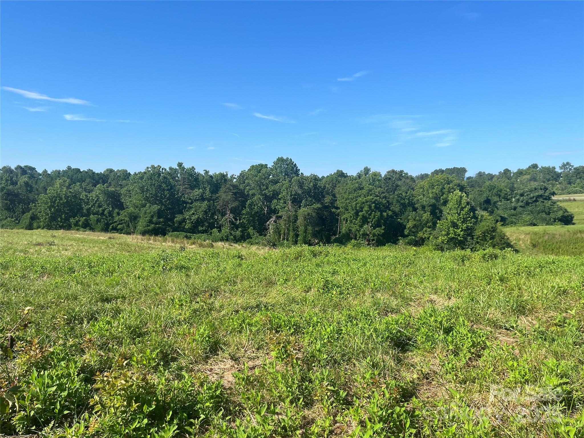 536 Pea Ridge Road Mill Spring, NC 28756 - Photo 6 of 16