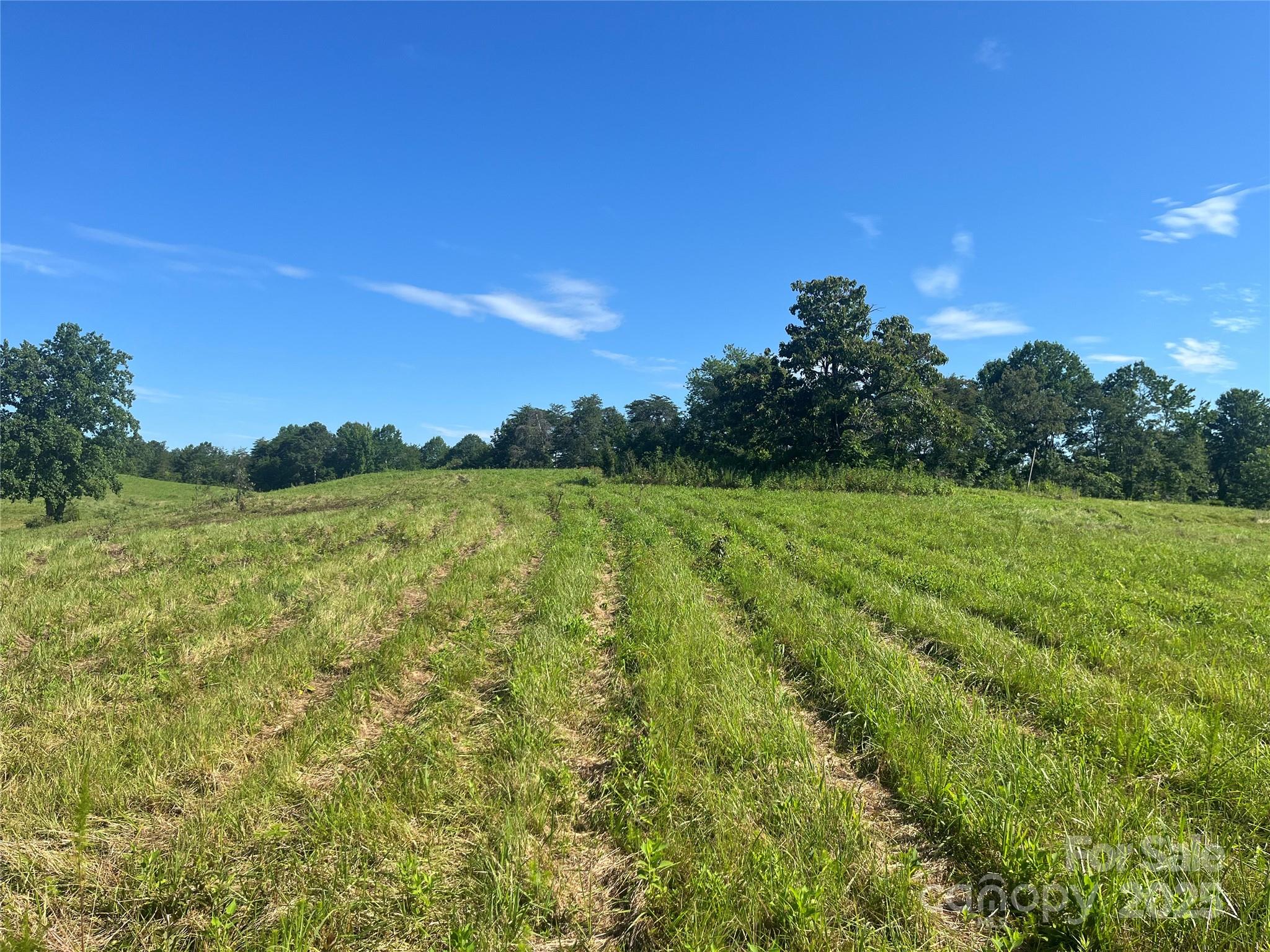 536 Pea Ridge Road Mill Spring, NC 28756 - Photo 8 of 16