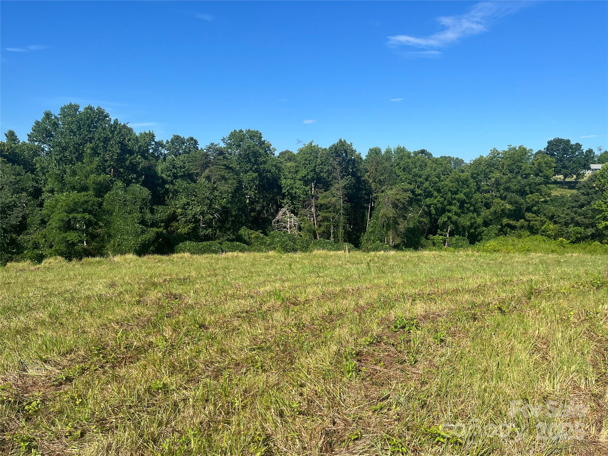 536 Pea Ridge Road Mill Spring, NC 28756 - Photo 9 of 16