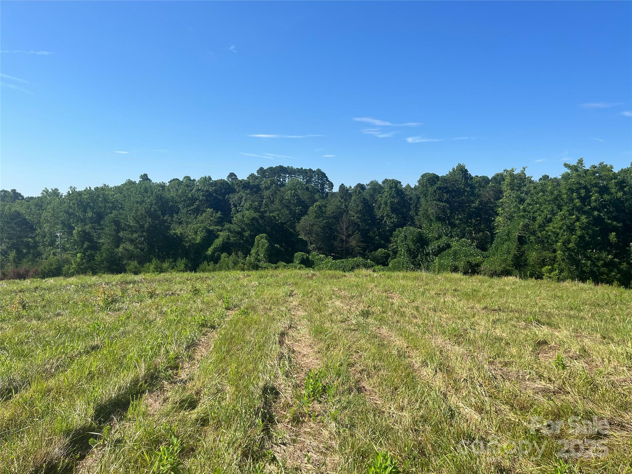 536 Pea Ridge Road Mill Spring, NC 28756 - Photo 10 of 16