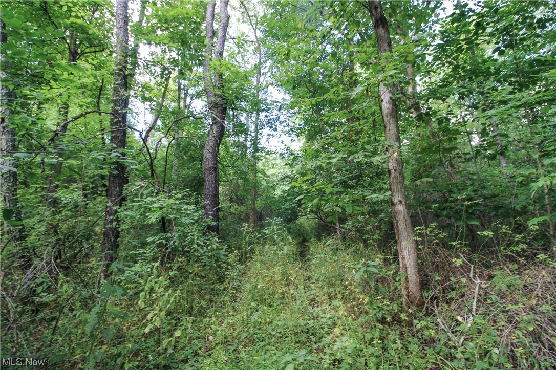 Dump Road Cadiz, OH 43907 - Photo 15 of 19 View of mother earth's splendor