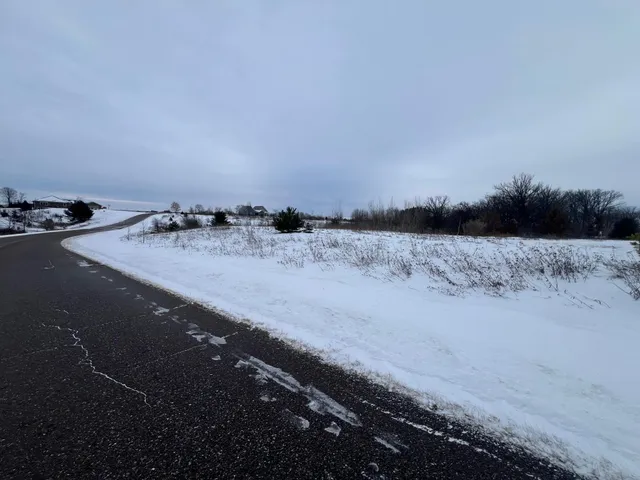 $51,500 | Lot 24 21st Street, Rice Lake, WI 54868