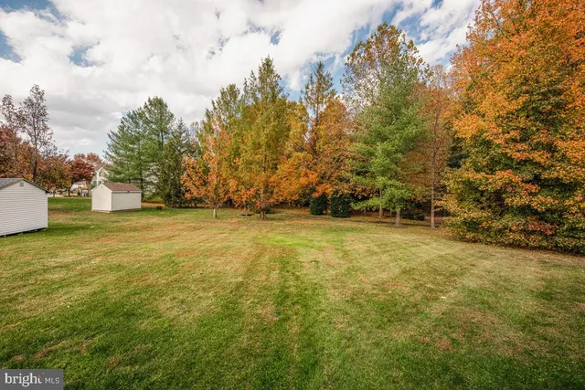 a view of outdoor space with trees