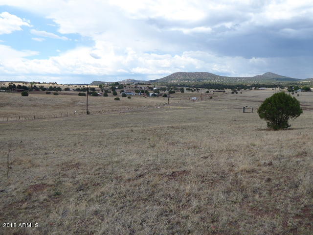 475 Elk Ridge Road Young, AZ 85554 - Photo 14 of 16 View of west side of town
