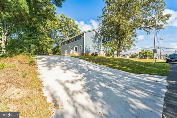 a view of a yard with plants and trees