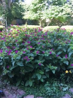 110 South Hampton Road Louisville, KY 40222 - Photo 21 of 28 IMG_7009