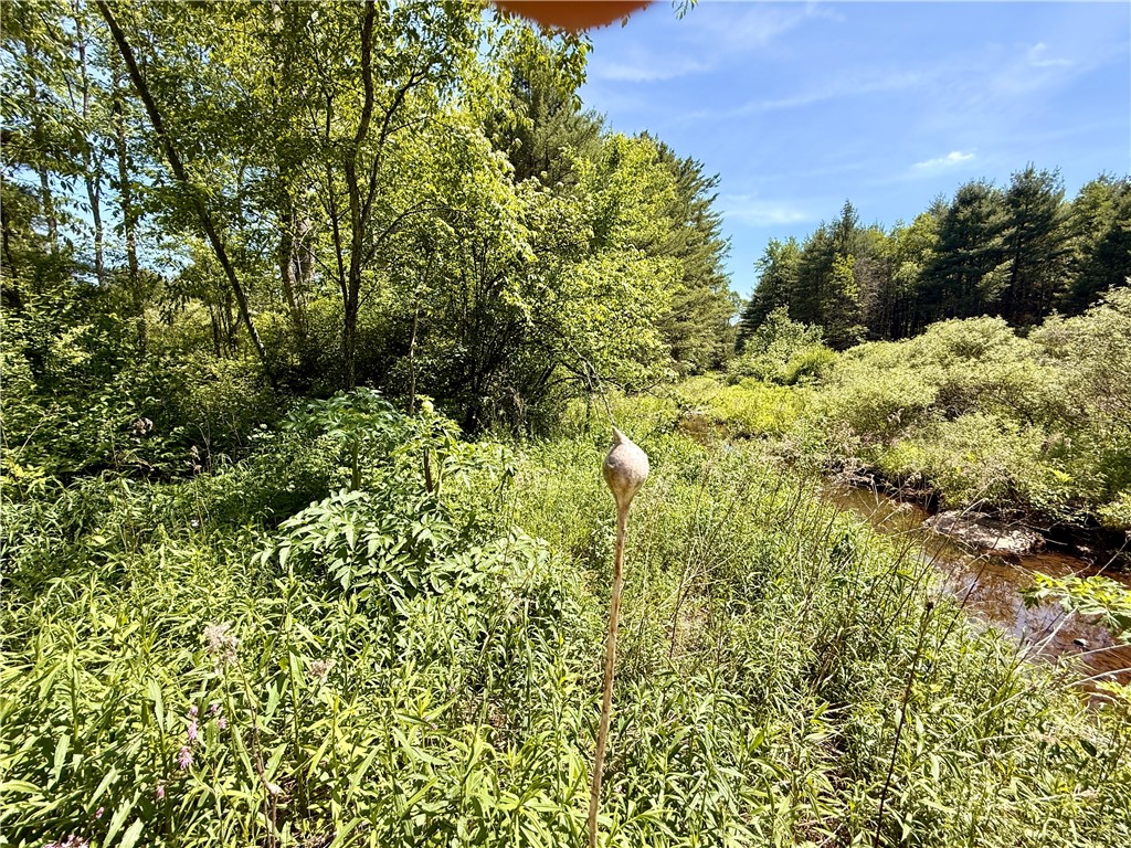 Copes Corners Road South New Berlin, NY 13843 - Photo 8 of 10