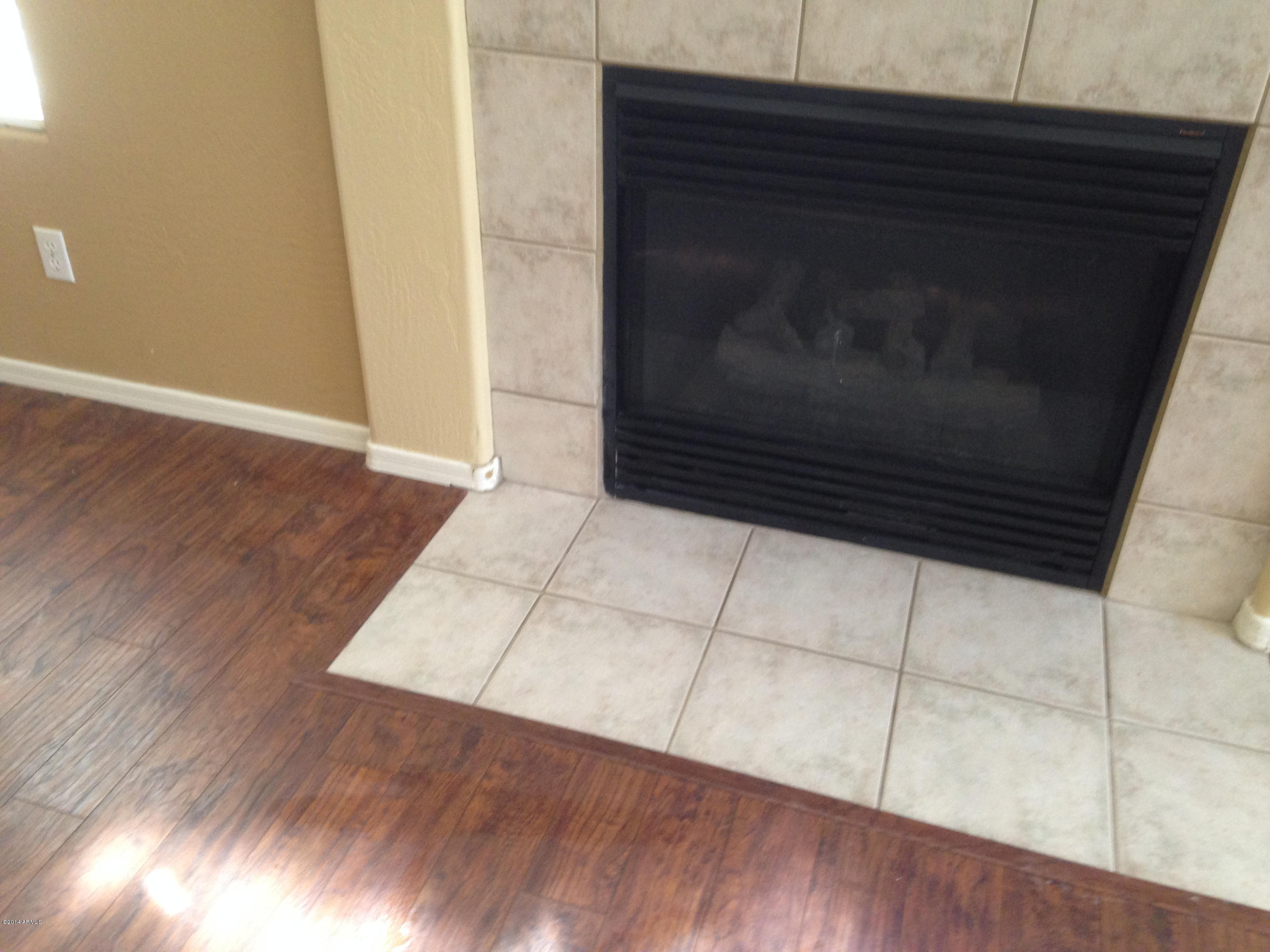 1853 East Appaloosa Road Gilbert, AZ 85296 - Photo 11 of 18 Fireplace