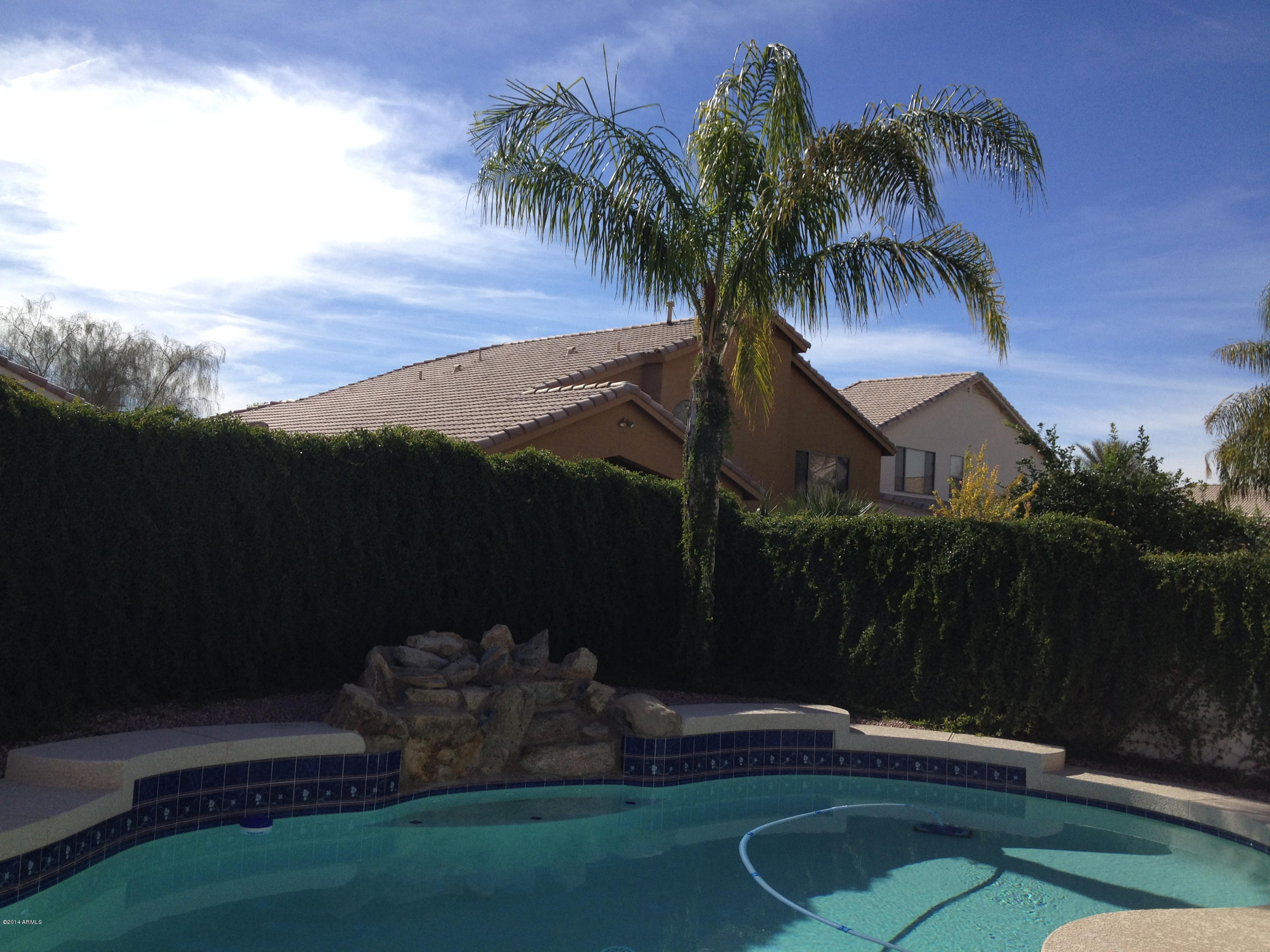 1853 East Appaloosa Road Gilbert, AZ 85296 - Photo 18 of 18 Backyard