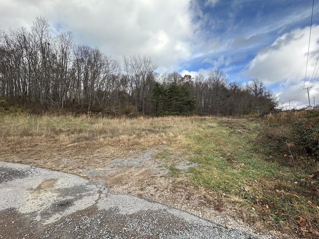 113 Verna Lane Narrows, VA 24124 - Photo 13 of 24