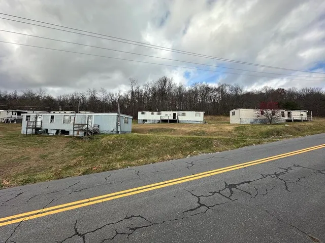 a view of a yard with large trees
