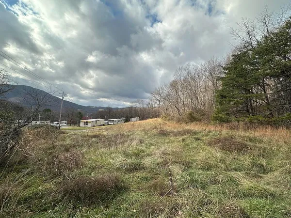 a view of large yard with green space