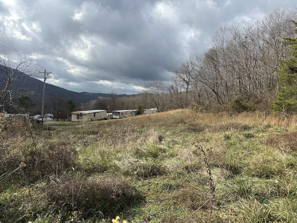 113 Verna Lane Narrows, VA 24124 - Photo 18 of 24 a view of large yard with green space