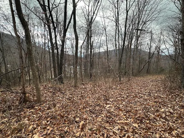 a view of outdoor space with lots of trees