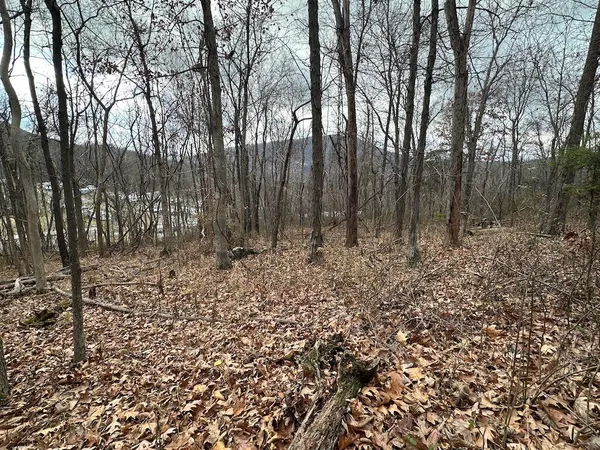 $85,000 | 113 Verna Lane, Narrows, VA 24124