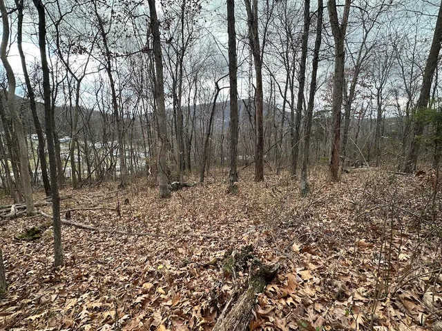 $20,000 | 113 Verna Lane, Narrows, VA 24124