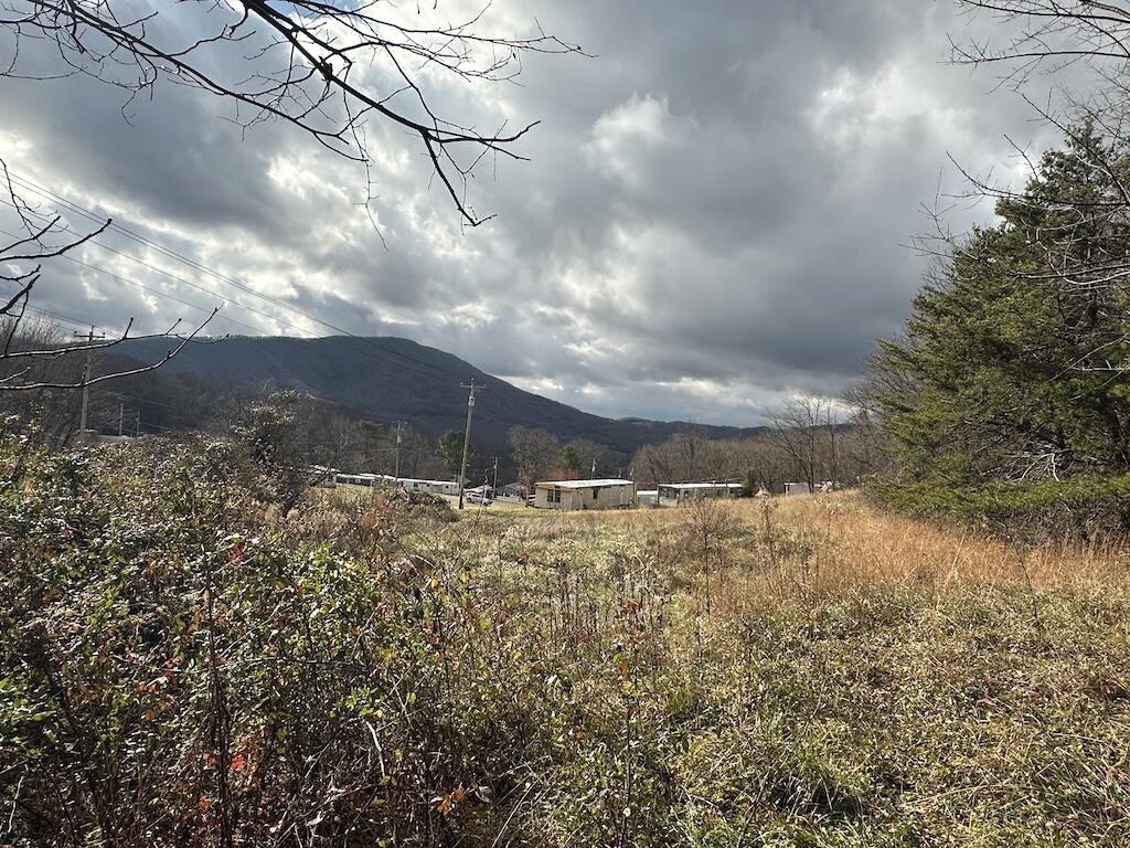 113 Verna Lane Narrows, VA 24124 - Photo 3 of 24 a view of a yard with large trees