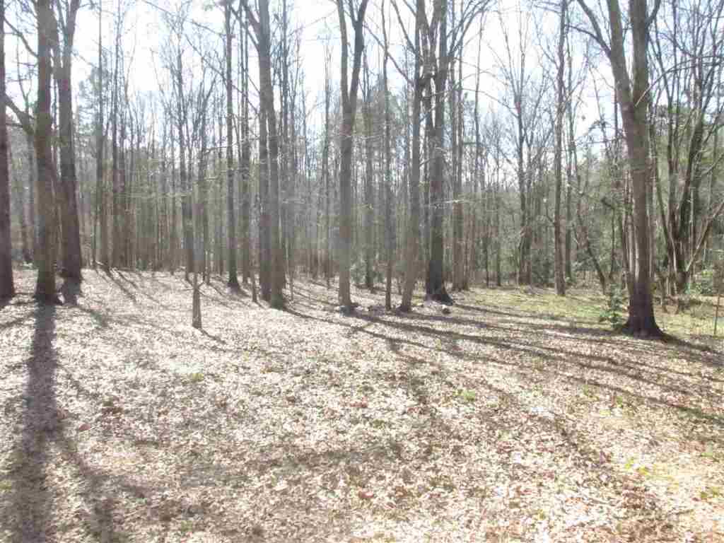 1228 Broadway Lake Road Anderson, SC 29621 - Photo 12 of 13 Gallery Image 12