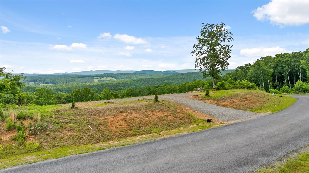 Lot 108 Twisted Oak Road Talking Rock, GA 30175 - Photo 8 of 29