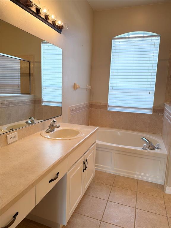 31224 Crestmont Court Wesley Chapel, FL 33543 - Photo 13 of 36 a bathroom with a tub sink and mirror