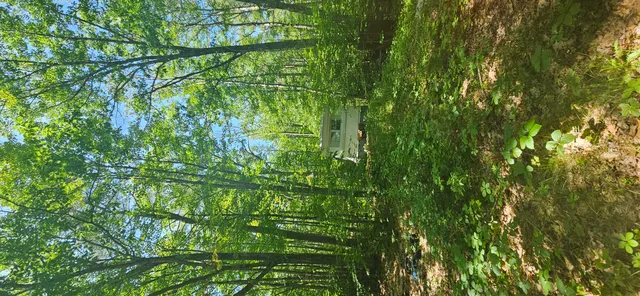 $224,500 | 187 Richards Road, Benton, ME 04901