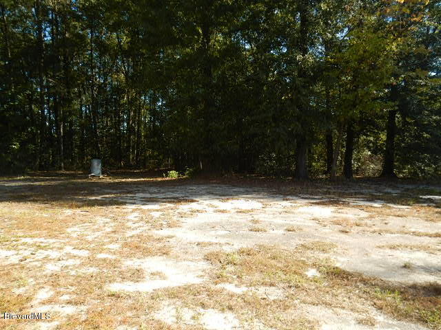 3152 Lawrence Road Redding, CA 96002 - Photo 3 of 31 3. BACKYARD