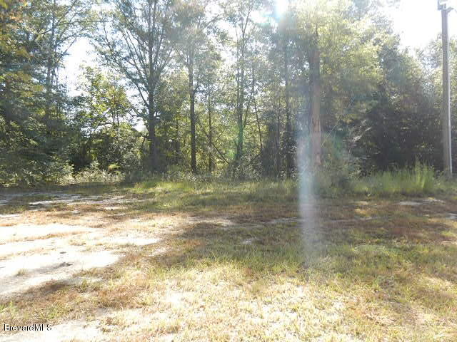 3152 Lawrence Road Redding, CA 96002 - Photo 4 of 31 4. BACKYARD VIEW 2
