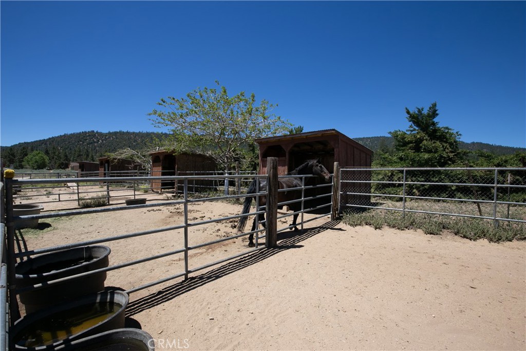 10960 Steinhoff Road Frazier Park, CA 93225 - Photo 15 of 46 A functional ground-level perspective showcasing the sturdy pipe-fenced equestrian enclosures and shelters. This shot highlights the open turnout pens and shaded stalls, backed by mature trees and rolling hills.