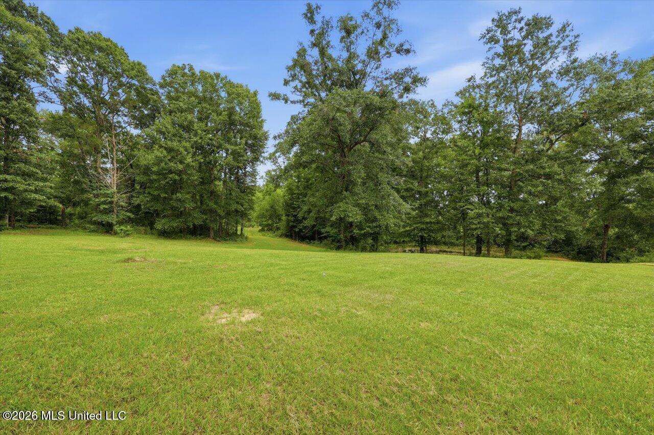 1130 Lyons Road Bolton, MS 39041 - Photo 33 of 50 33-1130 Lyons Rd _ Hometoursms.com