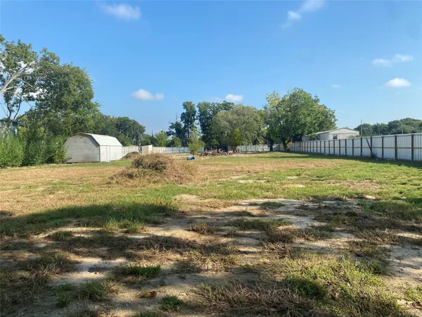 a view of a yard with a tree