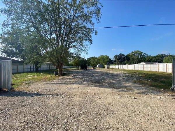 a view of a lake with a palm tree