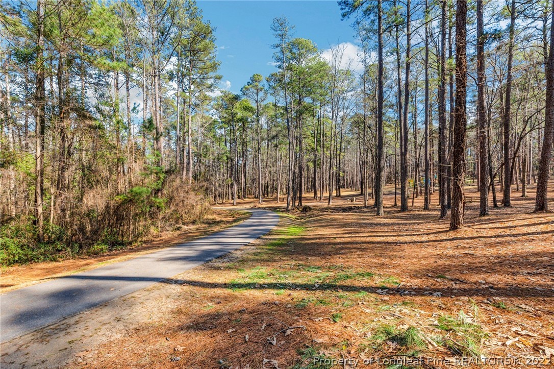 1509 Lyon Road Fayetteville, NC 28303 - Photo 39 of 42