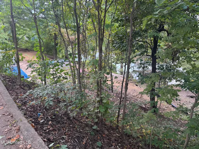 $59,000 | 3090 Hickory Nut Drive, Hernando, MS 38632