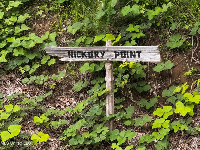 $59,000 | 3090 Hickory Nut Drive, Hernando, MS 38632