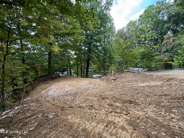 $59,000 | 3090 Hickory Nut Drive, Hernando, MS 38632