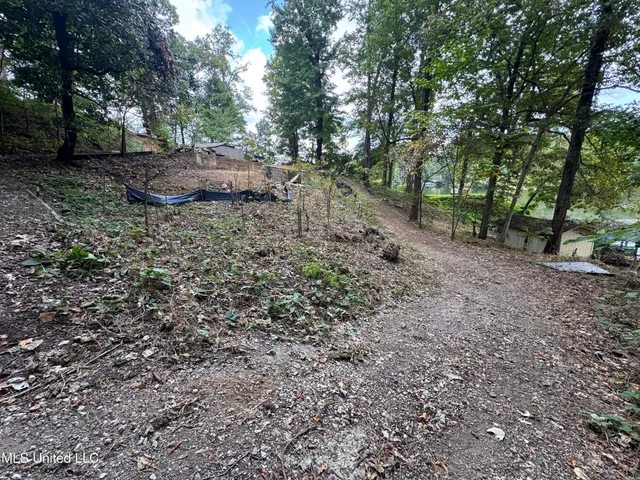 $59,000 | 3090 Hickory Nut Drive, Hernando, MS 38632