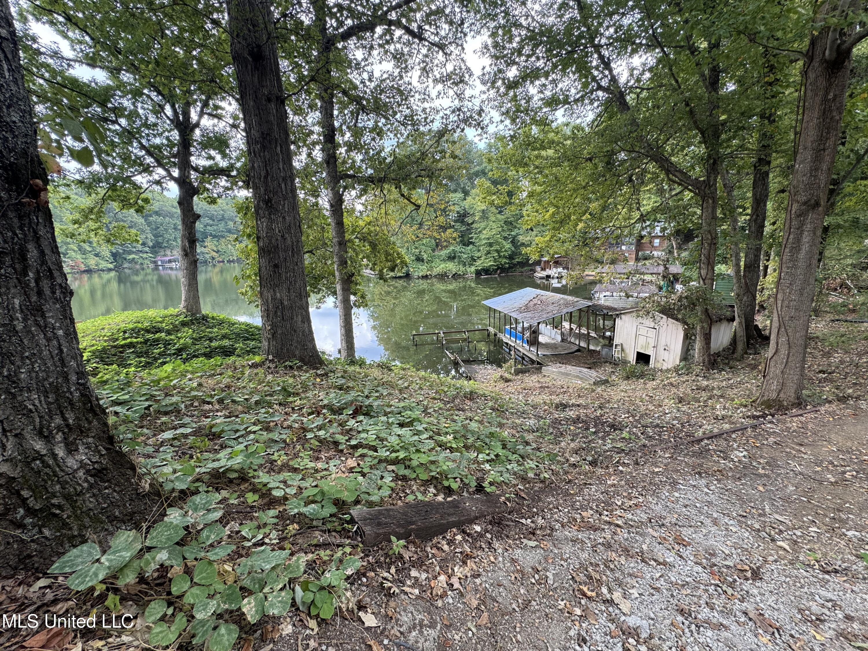 3090 Hickory Nut Drive Hernando, MS 38632 - Photo 8 of 33 IMG_3961