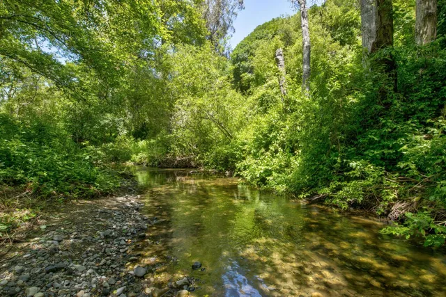 a backyard of a house with a yard and tree
