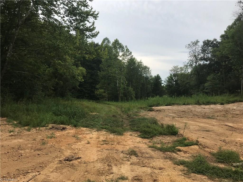 76-ac Smothers Road Madison, NC 27025 - Photo 11 of 30