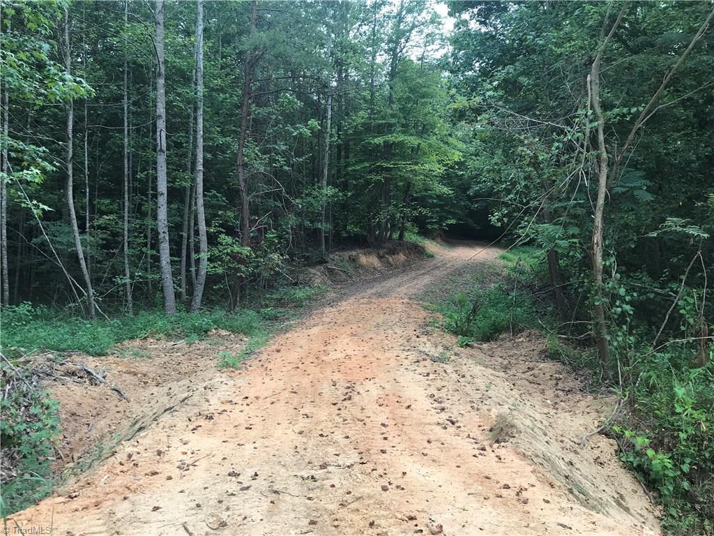 76-ac Smothers Road Madison, NC 27025 - Photo 12 of 30