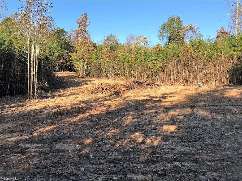 76-ac Smothers Road Madison, NC 27025 - Photo 18 of 30