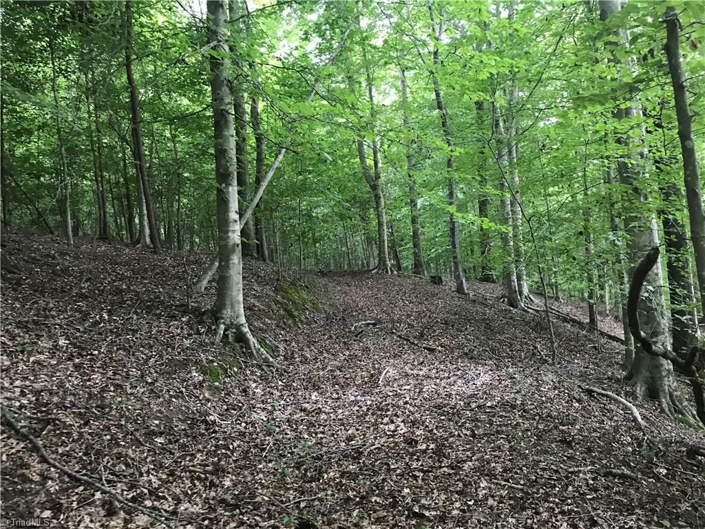 76-ac Smothers Road Madison, NC 27025 - Photo 20 of 30