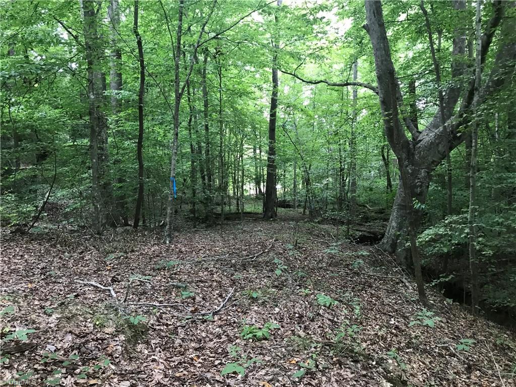 76-ac Smothers Road Madison, NC 27025 - Photo 22 of 30