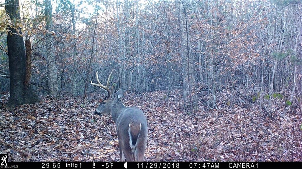 76-ac Smothers Road Madison, NC 27025 - Photo 29 of 30