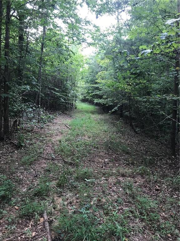 76-ac Smothers Road Madison, NC 27025 - Photo 7 of 30